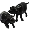 ebony buffalo pair