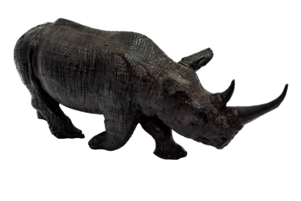 rhino1